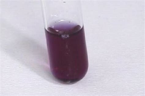 什么是紫色石蕊试液？什么是无色酚酞试液？_百度知道