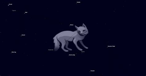 Vulpecula Constellation - A Foxy Constellation
