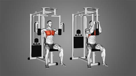 6 Highly Effective Pec Deck Alternatives (With Pictures!) - Inspire US