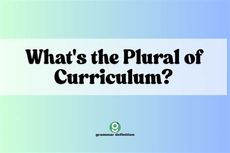 What's the Plural of Curriculum? A Comprehensive Guide - Grammar Definition