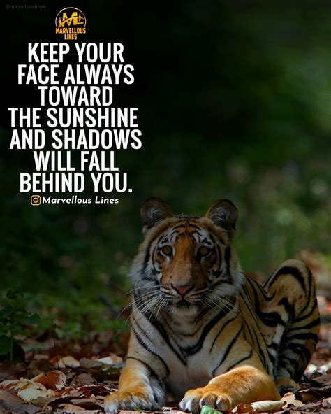 Animal Quotes Inspirational