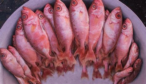 7 Iconic Fish Markets In Mumbai That You Have To Visit If You Are A ...