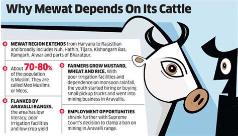 Checkpoints at Mewat: Farmers complain of extortion in the name of cow ...