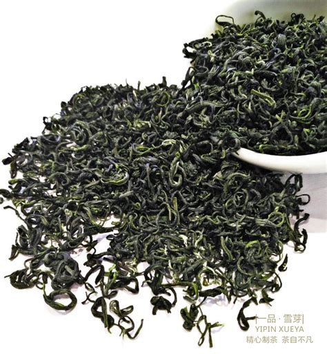 绿毛峰 - 绿茶 - 四川一品雪芽茶业有限公司