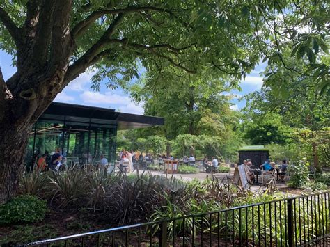 Food and drink at The Pavilion Bar and Grill at Kew Gardens - Surrey Live