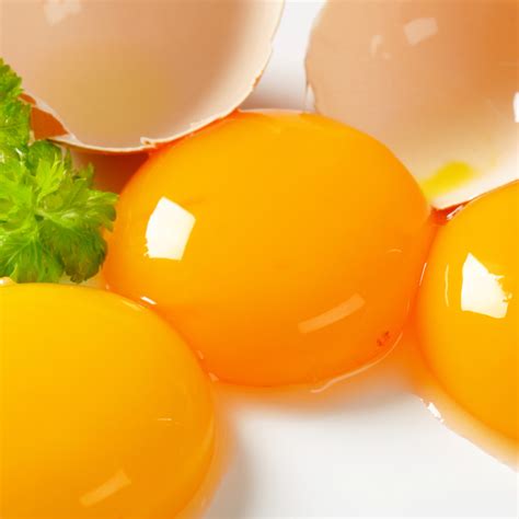 The Children's Naturopath | The Perfect Egg Yolk