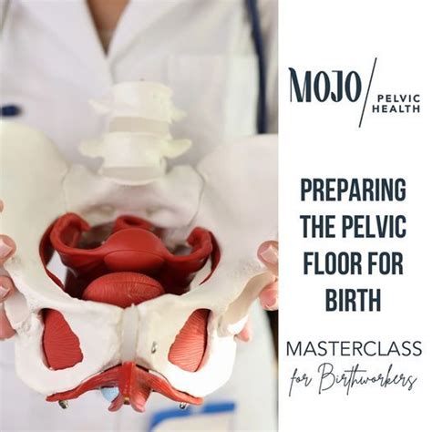 Preparing the Pelvic Floor for Birth: A Birthworker Masterclass! , 6401 ...