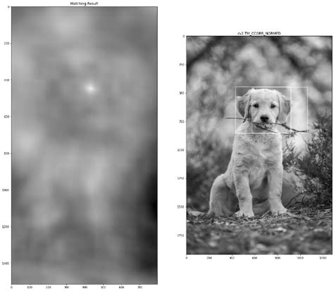 Template Matching Tutorial OpenCV in Python 的图像结果