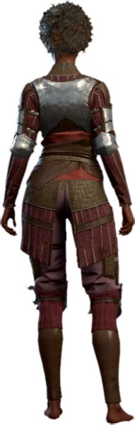 File:Half Plate Armour Human Back Model.webp - bg3.wiki