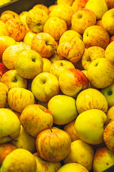 Image result for Comparing Apples