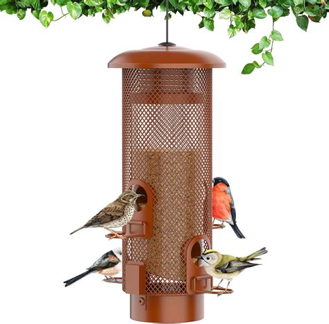 Amazon.com : Metal Squirrel Proof Bird Feeder,Bird Feeders for Outdoors ...