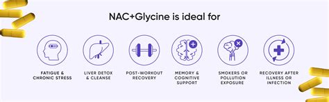 N-Acetyl Cysteine (NAC) + Glycine 800mg | 60 Caps