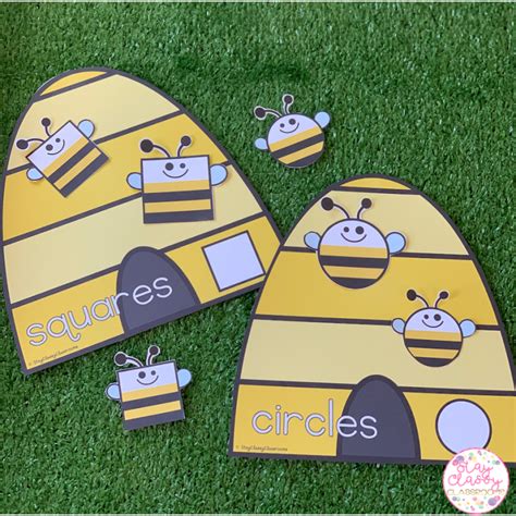 Image result for Insect Sorting