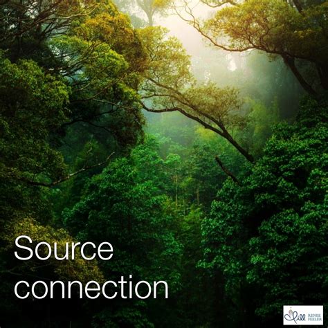 Image result for Connection to Source