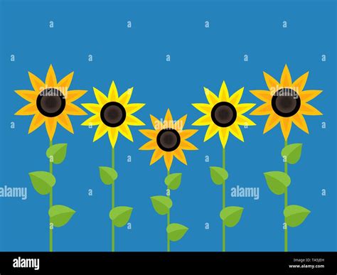 vector sunflower symbols isolated on blue background. summer garden ...