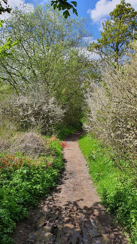 Running Shirtless, is it acceptable? : r/trailrunning