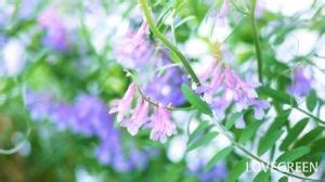 Image result for List View Example XML Android