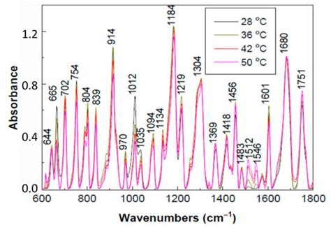 The Influence of UV Light on Photodegradation of Acetylsalicylic Acid
