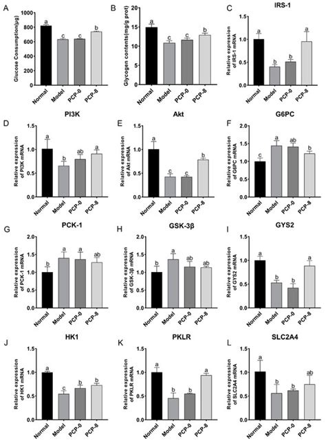 Hypoglycemic Effect of Edible Fungi Polysaccharides Depends on Their ...