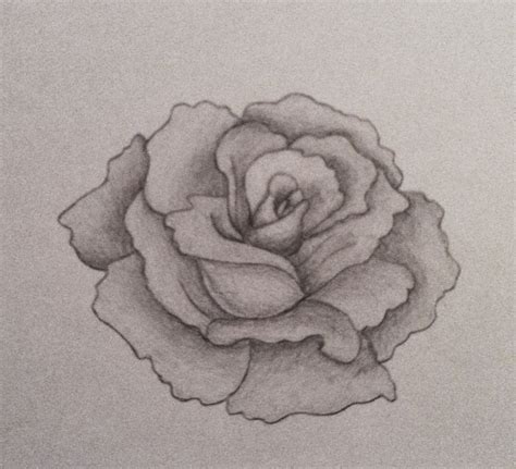 Flower Shading Drawing at GetDrawings | Free download