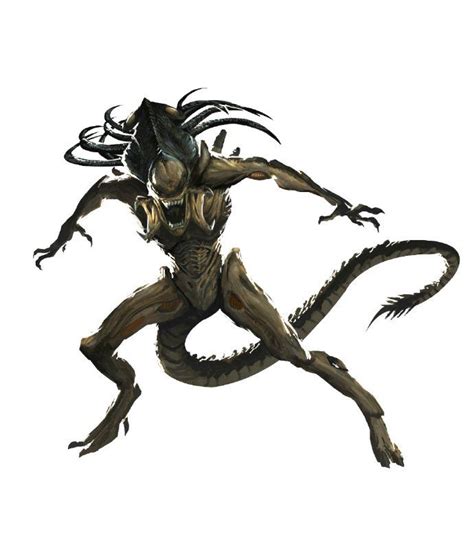 Image result for Alien Predalien