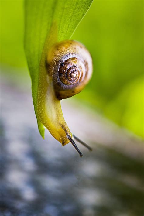 Biology HD Images 的图像结果