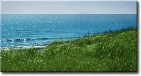 Image result for Ocean Pattern