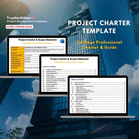 In Scope Examples Project Charter 的图像结果