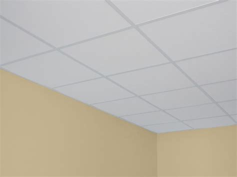Acoustic Lay In Ceiling Tiles Discounted | www.pinnaxis.com
