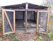 Image result for Raising Rabbits Colony Style