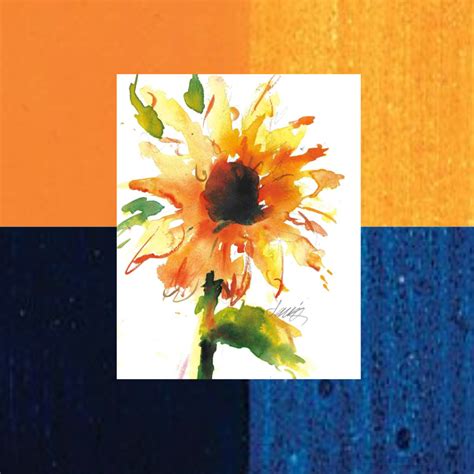 Complementary Color Collage 的图像结果