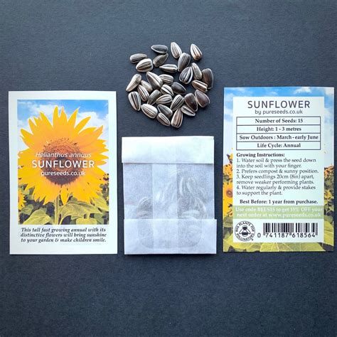 Sunflowers Giant Common Variety Helianthus annuus – Pure Seeds