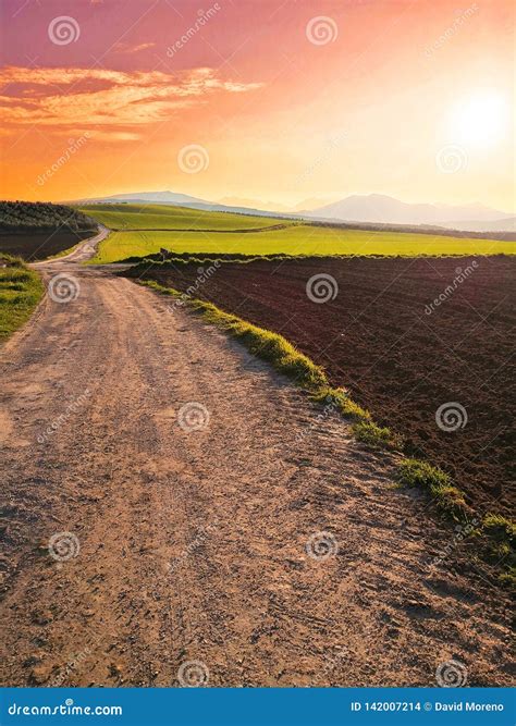 Grass Meadow at Sunset in Spain Stock Photo - Image of bright, dawn: 142007214