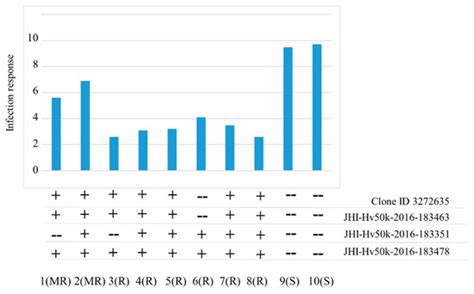 Validation of Molecular Markers of Barley Net Blotch Resistance Loci on ...