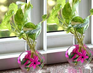Namisha Round Flower Glass Vase For Money Plant Set of 2 vases ...