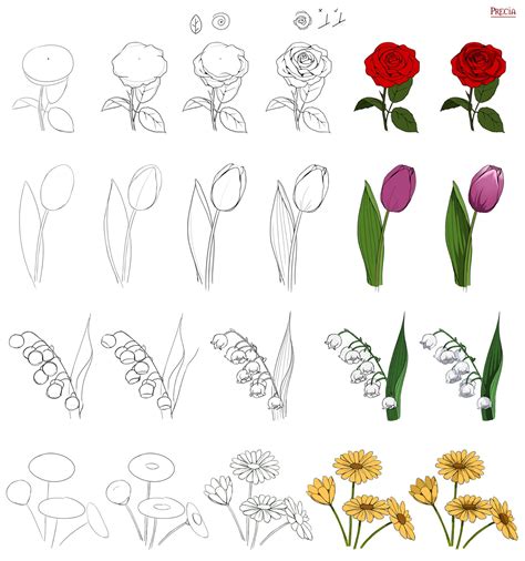 Image result for Drawing Tutorial for Flower