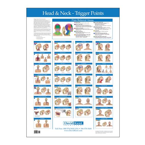 Trigger Point Chart Head and Neck | Therapy Charts