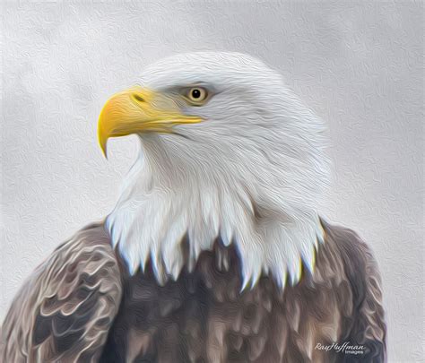 Eagle Art