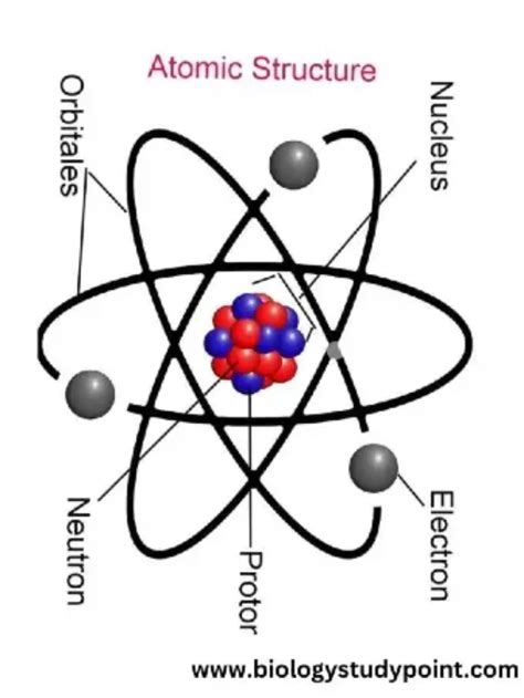 Image result for Atomic Structure Model Easy