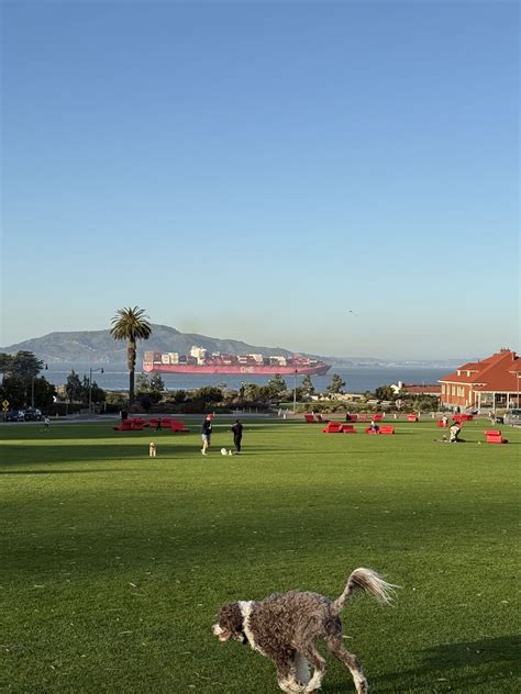 Some beautiful Friday freight, live from the Presidio 😍 | Michael DeLucia