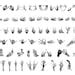 Buy Skeleton Hands SVG Skeleton SVG Skeleton Heart Hands SVG Online in ...