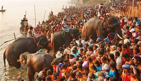 5 Biggest Cattle Fairs To Witness in India - lifeberrys.com