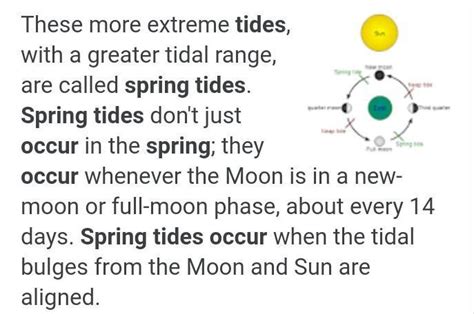spring spring tides occurs at the first and third quarter phases of the ...