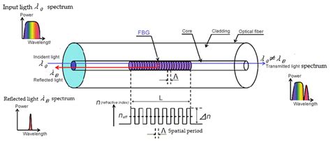 Fibre Bragg Gratings for the Monitoring of Wooden Structures