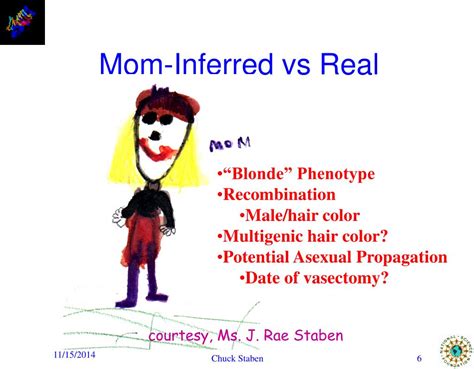 Image result for Evolutionary Biology Explained