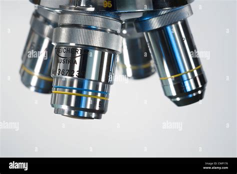 Image result for Rotatable Tube Microscope Function