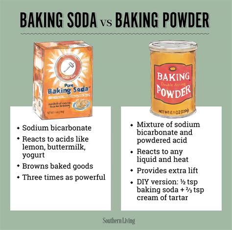 Baking Soda Substitute: Top 5 Alternatives for Perfect Baking | Buy ...