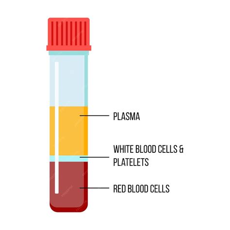 The composition of blood poster red blood cells white blood cells platelets and plasma vector ...