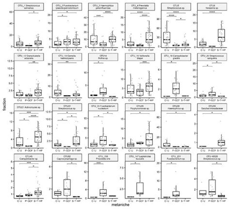 Defining Metaniches in the Oral Cavity According to Their Microbial ...