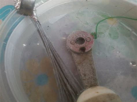 Image result for Solar Panel Placement Rust